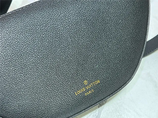 Louis Vuitton Moon Belt Bag Black Pebbled Leather Fashion Belt Bag 24