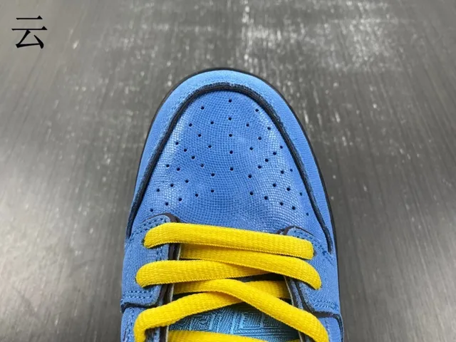 Nike SB Dunk Low Blue and Yellow Skateboard Shoes 14