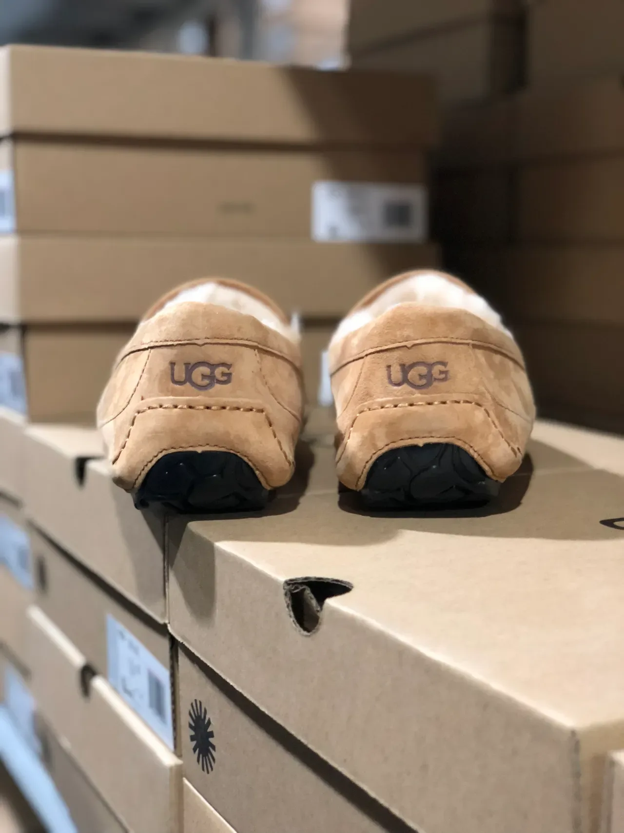UGG Tasman Beige Suede Shearling-Lined Loafers 8