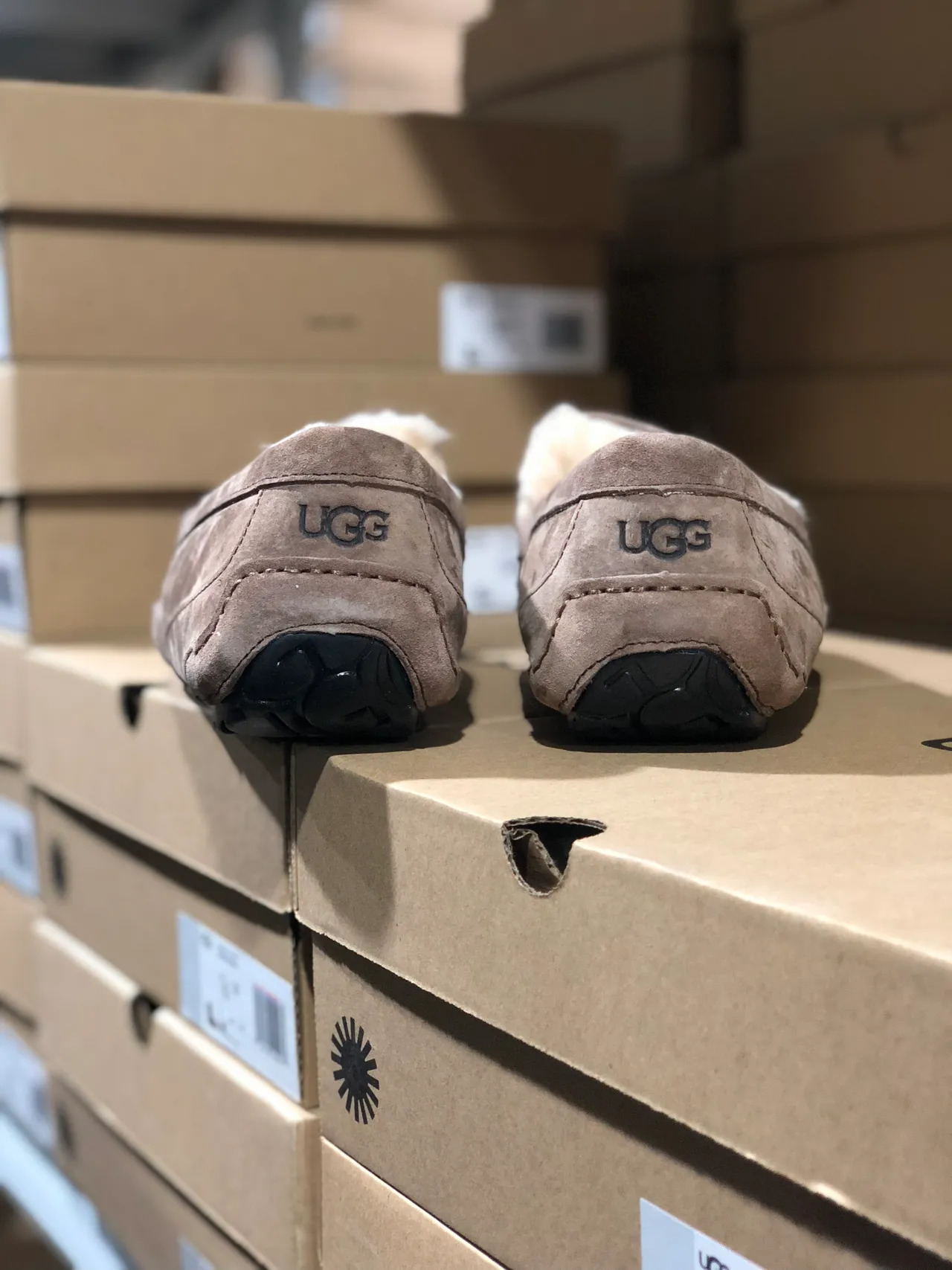 UGG Tasman Taupe Suede Shearling-Lined Loafers 8