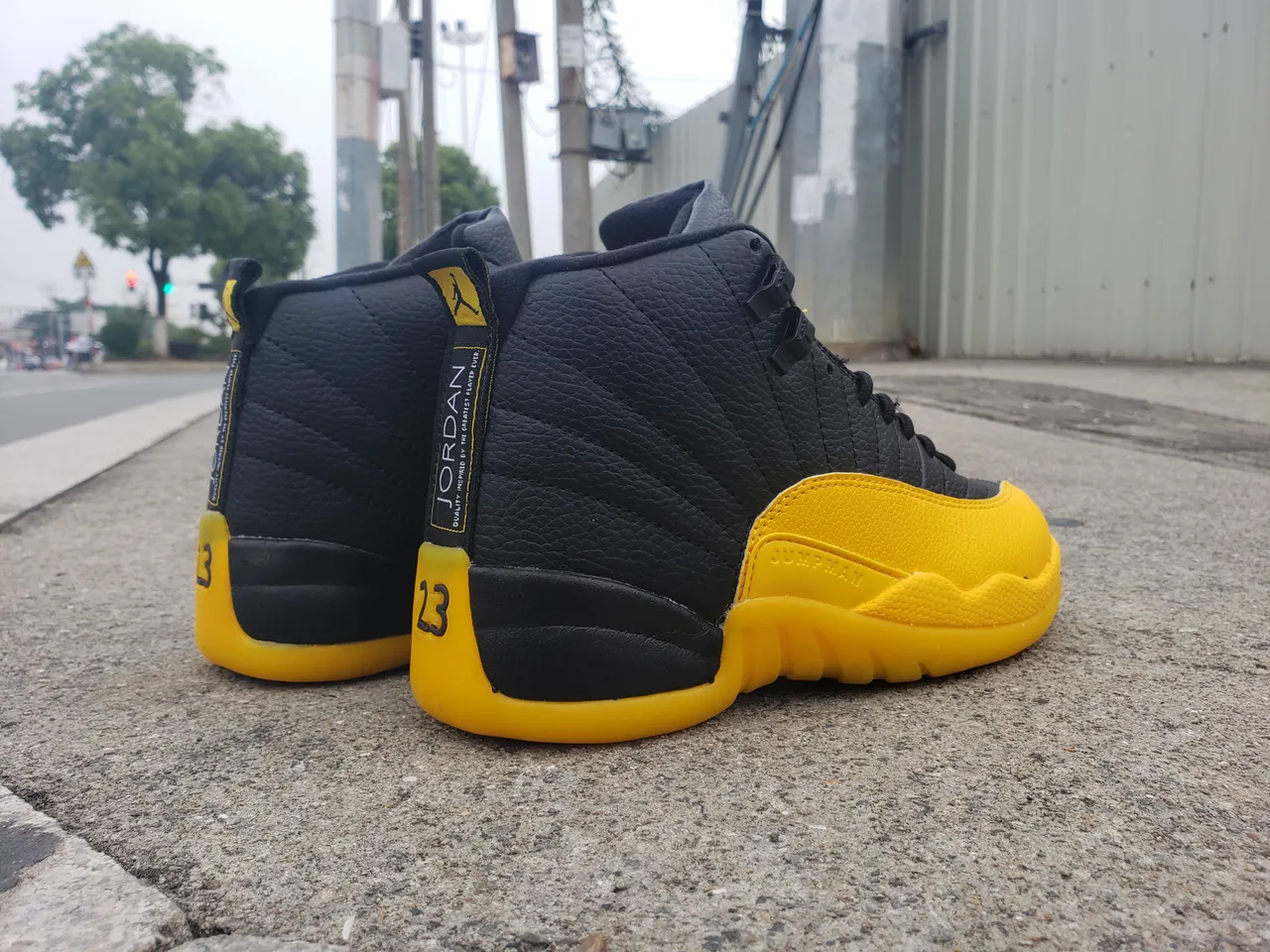Air Jordan 12 Black Yellow Basketball Shoes 5