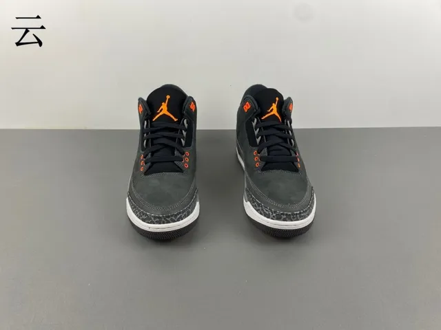Air Jordan 3 Dark Gray Elephant Print Basketball Shoes 11