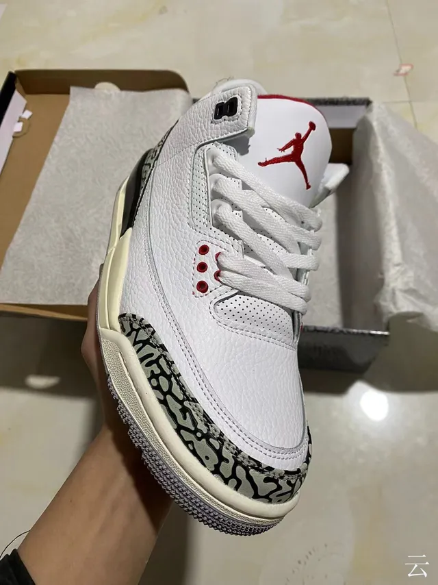 Chaussures de basketball Air Jordan 3 à motif éléphant blanc 2