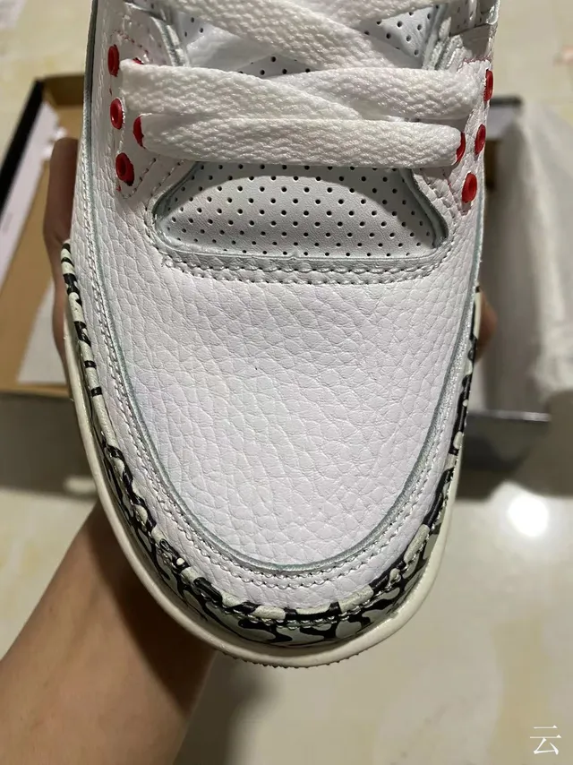 Chaussures de basketball Air Jordan 3 à motif éléphant blanc 3