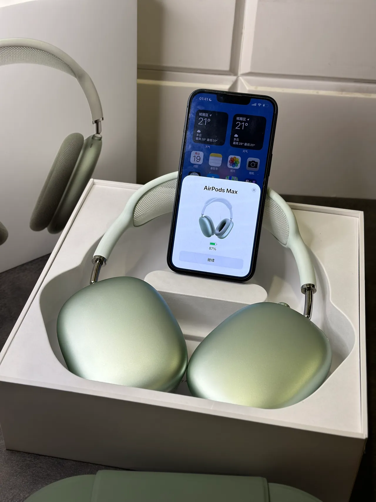 Apple AirPods Max Sage Green Over-ear Headphones 7