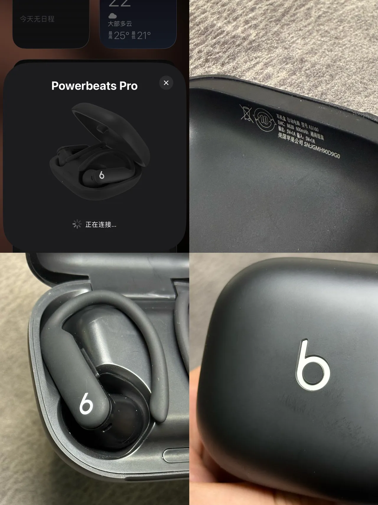 Beats Powerbeats Pro 2 Black Sports Earphones 5
