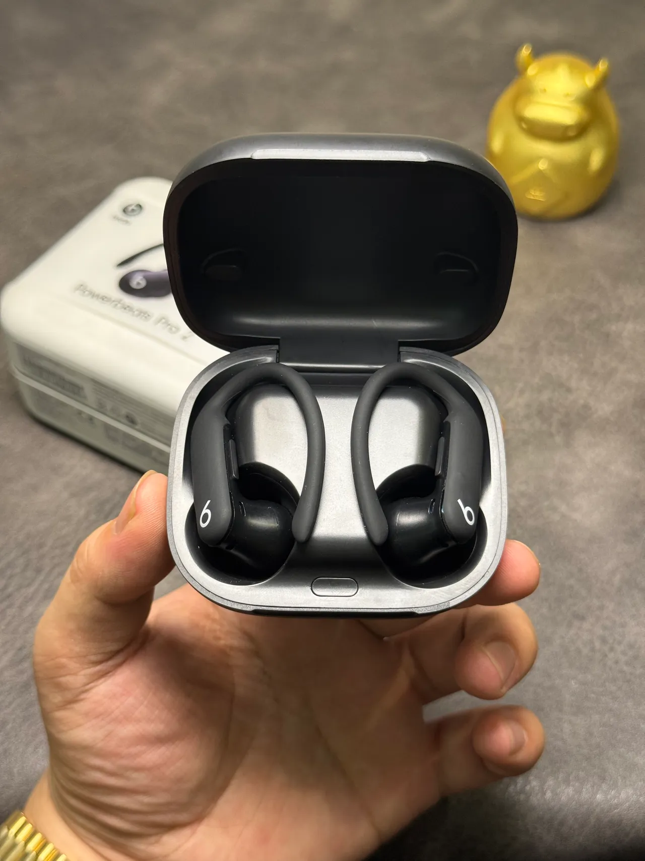 Beats Powerbeats Pro 2 Black Sports Earphones 11