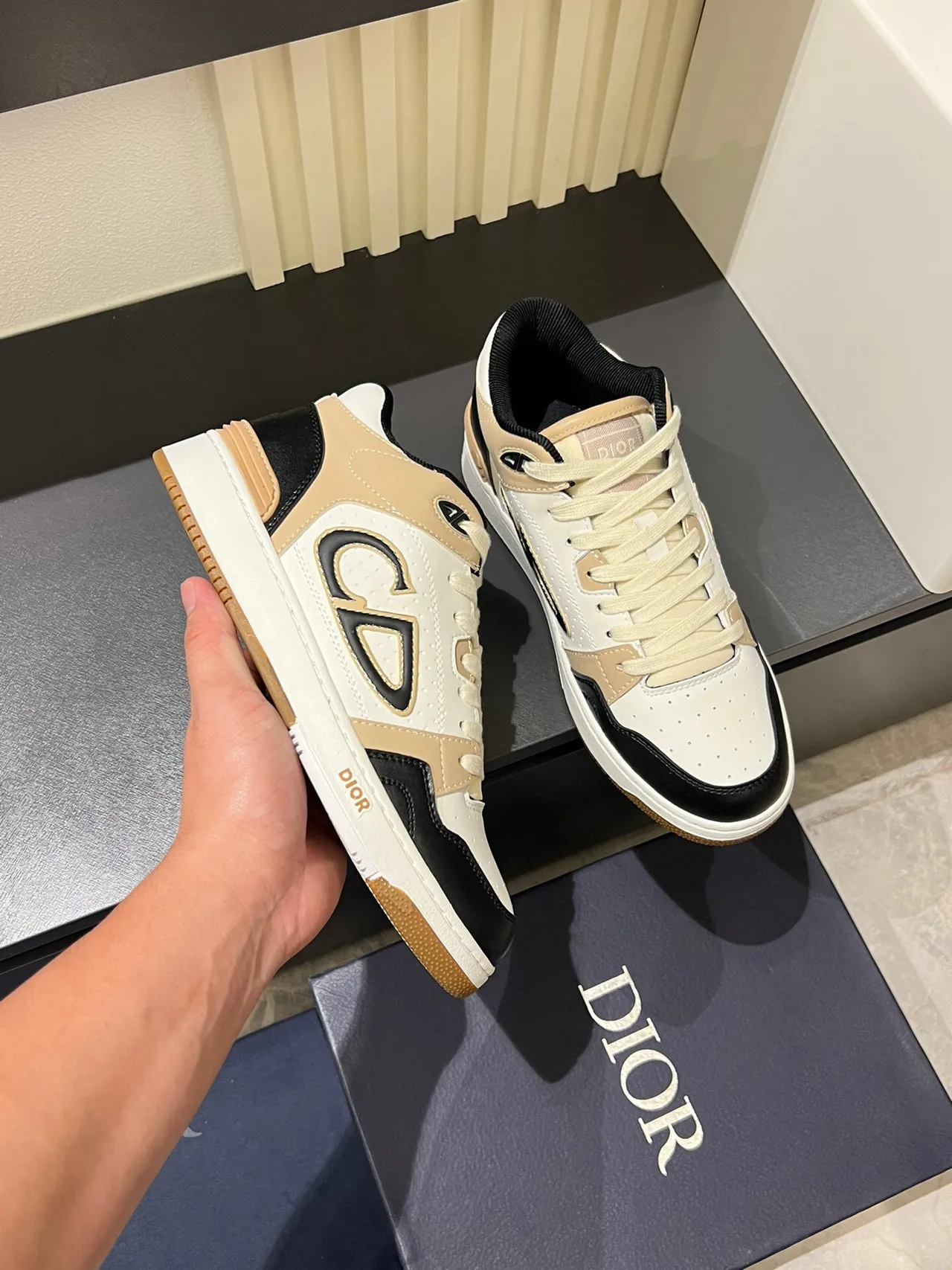 Dior B23 Monogram Color-Block Lifestyle Sneakers 6