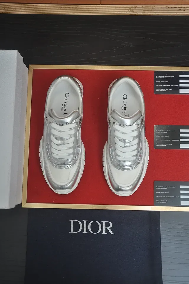 Dior B27 Metallic Silver and White Lifestyle Sneakers 5