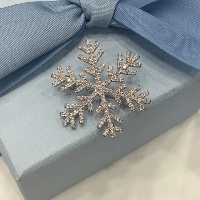 بروش كوب الثلج Pavé-Set حجر شفاف 5