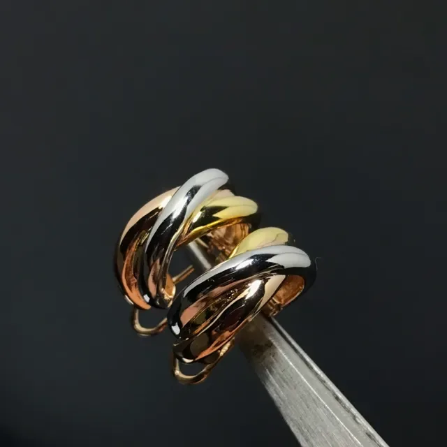 Two-Tone Intertwined Polished Hoop Earrings 2
