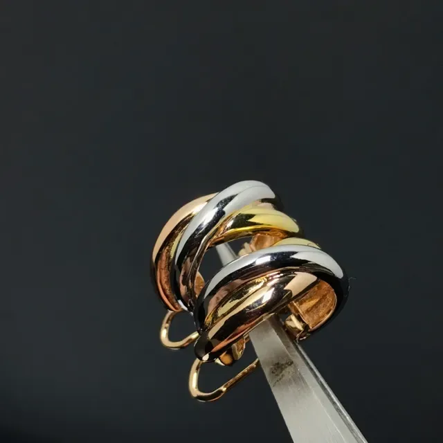 Two-Tone Intertwined Polished Hoop Earrings 3