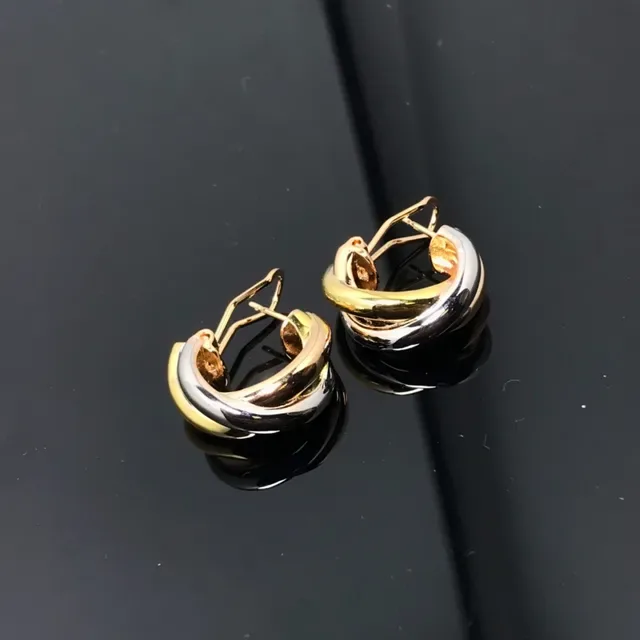 Two-Tone Intertwined Polished Hoop Earrings 4