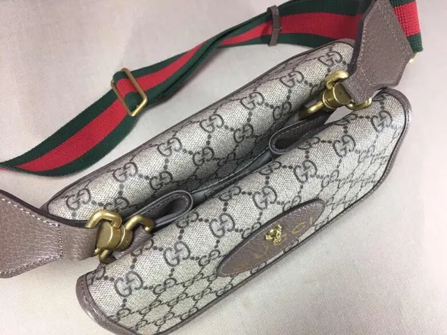 Gucci Ophidia Beige Gris GG Monogramme Toile Ovale Cuir Plaque Sac croisé 3