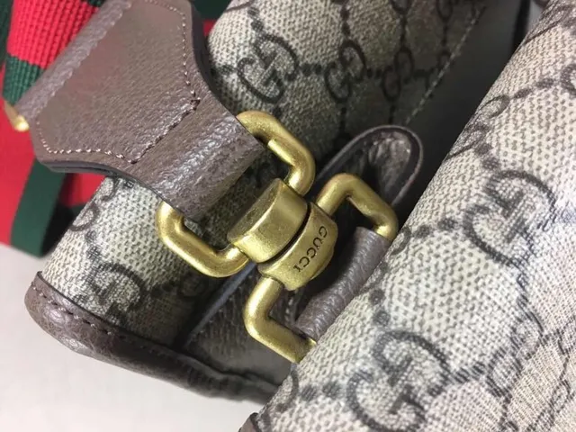 Gucci Ophidia Beige Gris GG Monogramme Toile Ovale Cuir Plaque Sac croisé 6