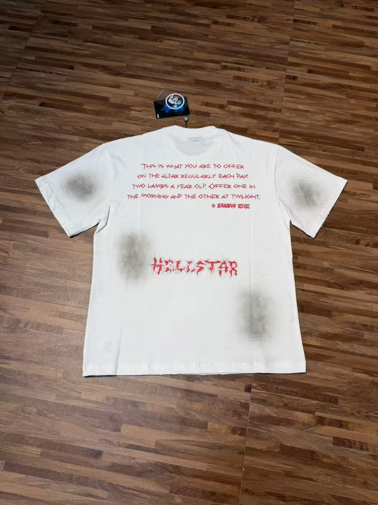 Hellstar Two-Headed Lamb Graphic Distressed Oversized T-Shirt 7