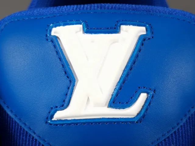 Louis Vuitton LV Trainer Blue White Chunky Platform Sole Textile Upper Lifestyle Sneakers 4