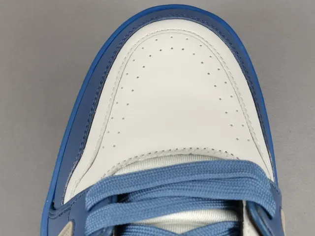 Louis Vuitton LV Trainer White Blue Layered Synthetic Upper Sculpted Midsole Lifestyle Sneakers 5