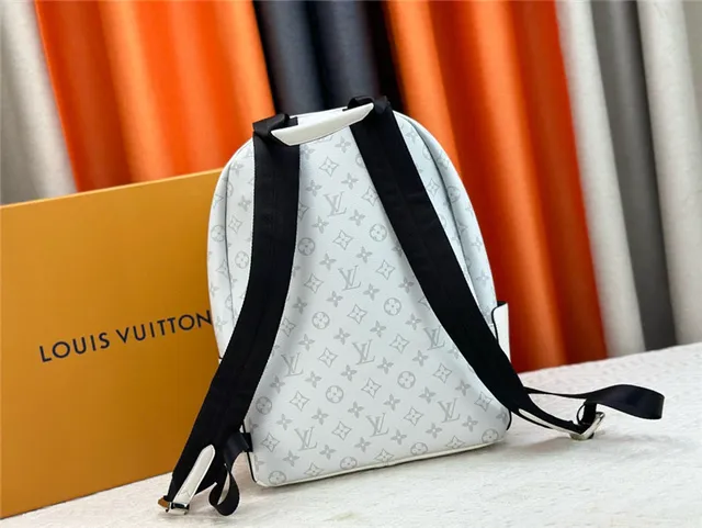Louis Vuitton Monogram Canvas and Leather Mini Backpack 7