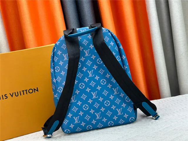 Louis Vuitton Monogram Canvas and Leather Mini Backpack 16