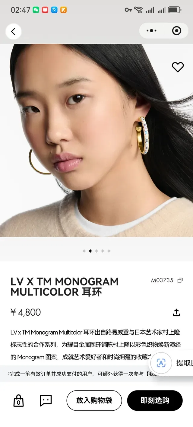 Louis Vuitton Multicolor Monogram Hoop Earrings 10