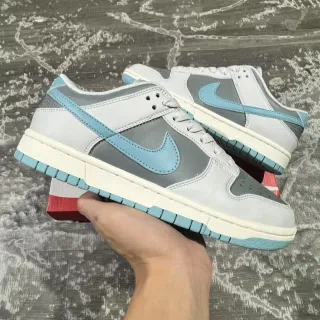 Nike Dunk Low Light Gray and Blue Lifestyle Sneakers