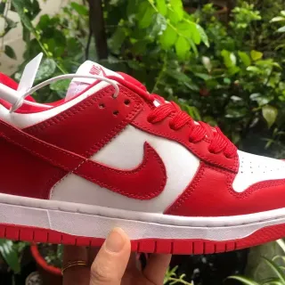 Nike Dunk Low Red and White Lifestyle Sneakers