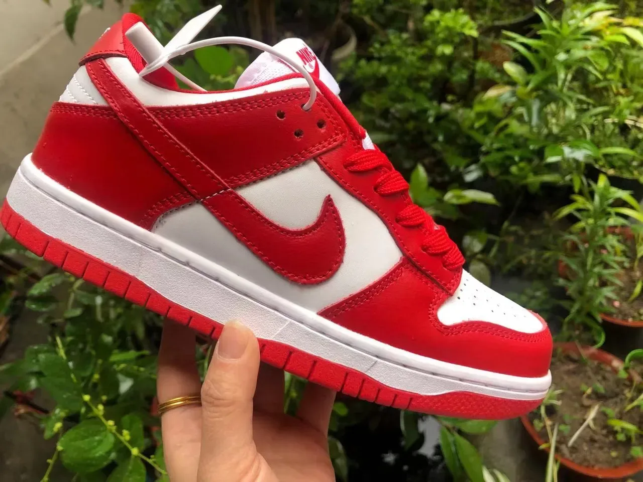 Nike Dunk Low Red and White Lifestyle Sneakers 2
