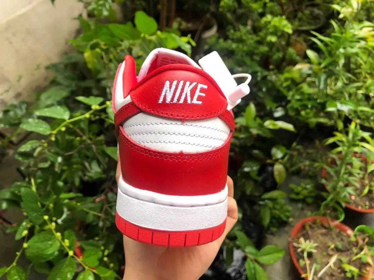 Nike Dunk Low Red and White Lifestyle Sneakers 3