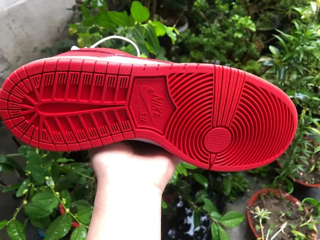 Nike Dunk Low Red and White Lifestyle Sneakers 5