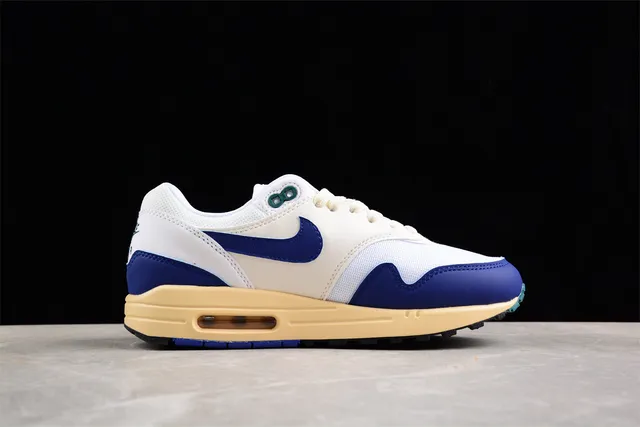Nike White Blue Low-Top Silhouette Layered Upper Lifestyle Sneakers 11