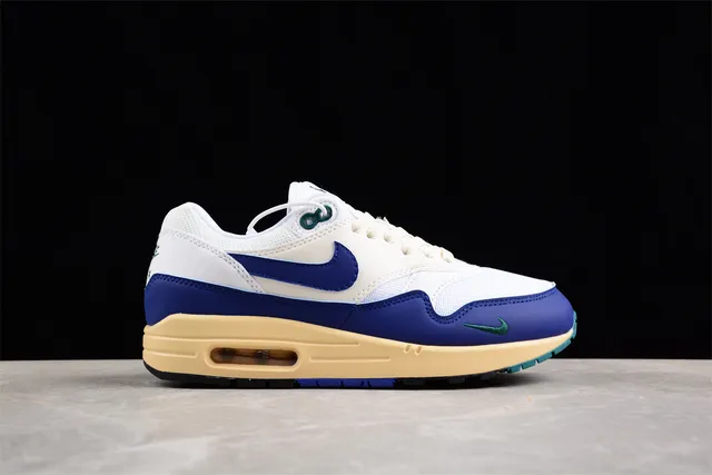 Nike White Blue Low-Top Silhouette Layered Upper Lifestyle Sneakers 14