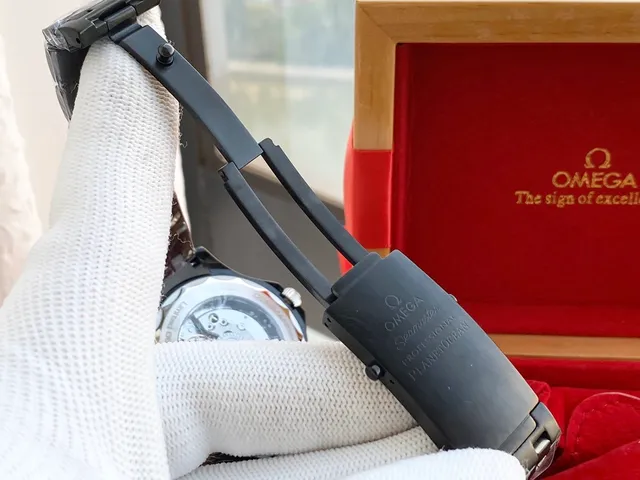 Omega Seamaster Professional Cadran Noir Acier Inoxydable Montre Mécanique 2
