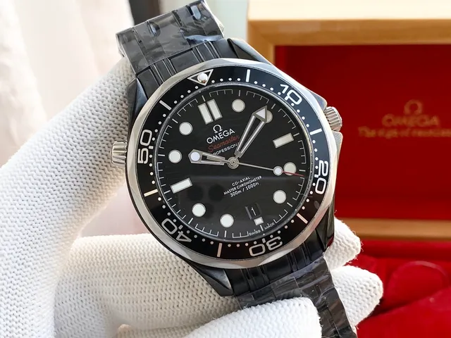 Omega Seamaster Professional Cadran Noir Acier Inoxydable Montre Mécanique 6
