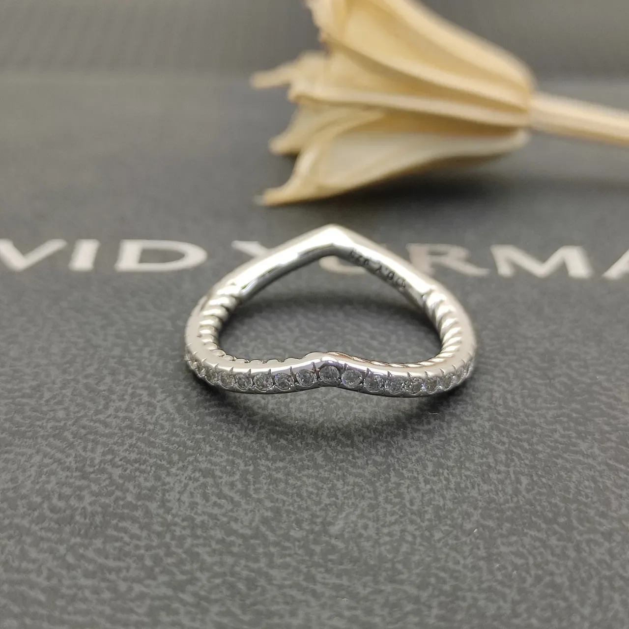 Tiffany & Co. Argent Transparente Twisted Rope Band Pavé-Set Round Diamonds Bague 4