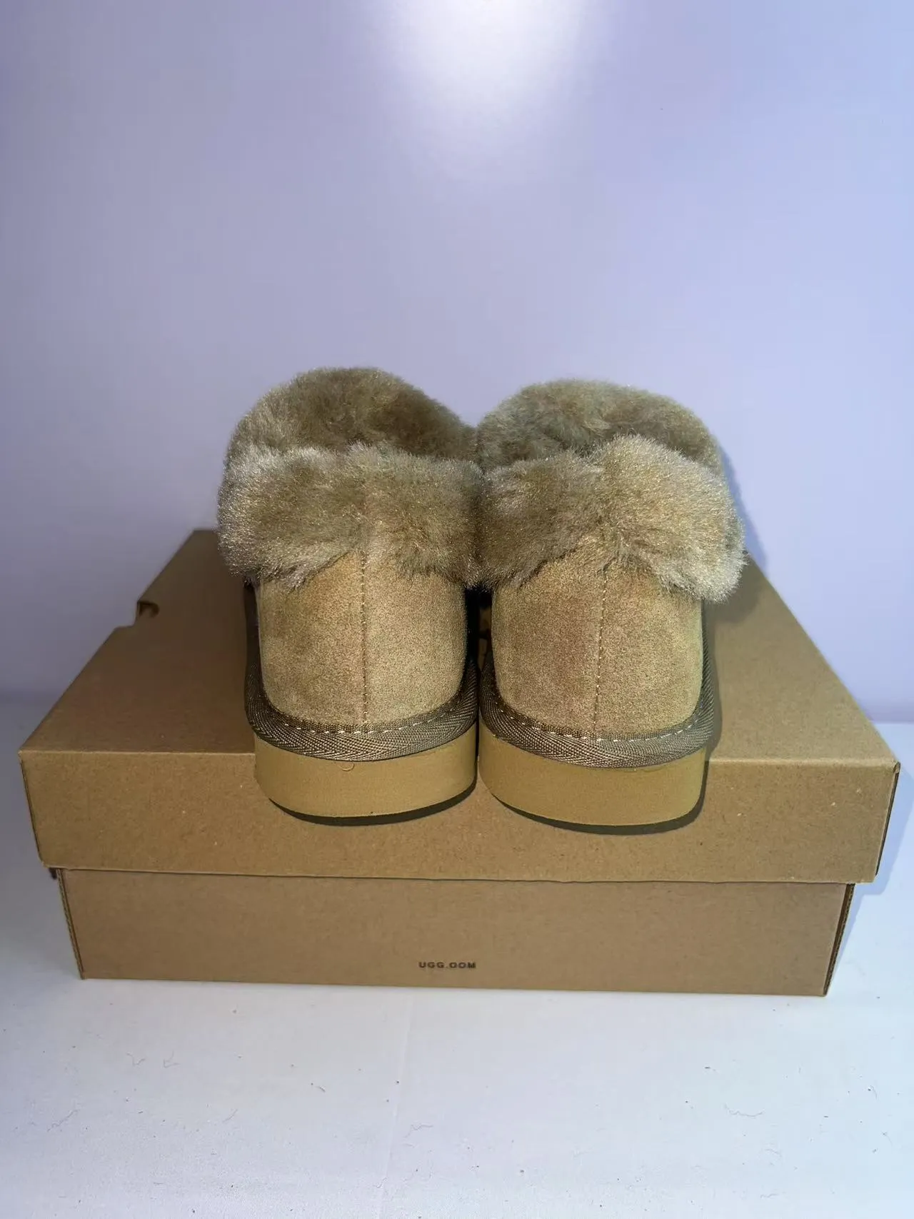 UGG Tasman Bege Couro Suede Superior Colar de Shearling Tênis Casual 5