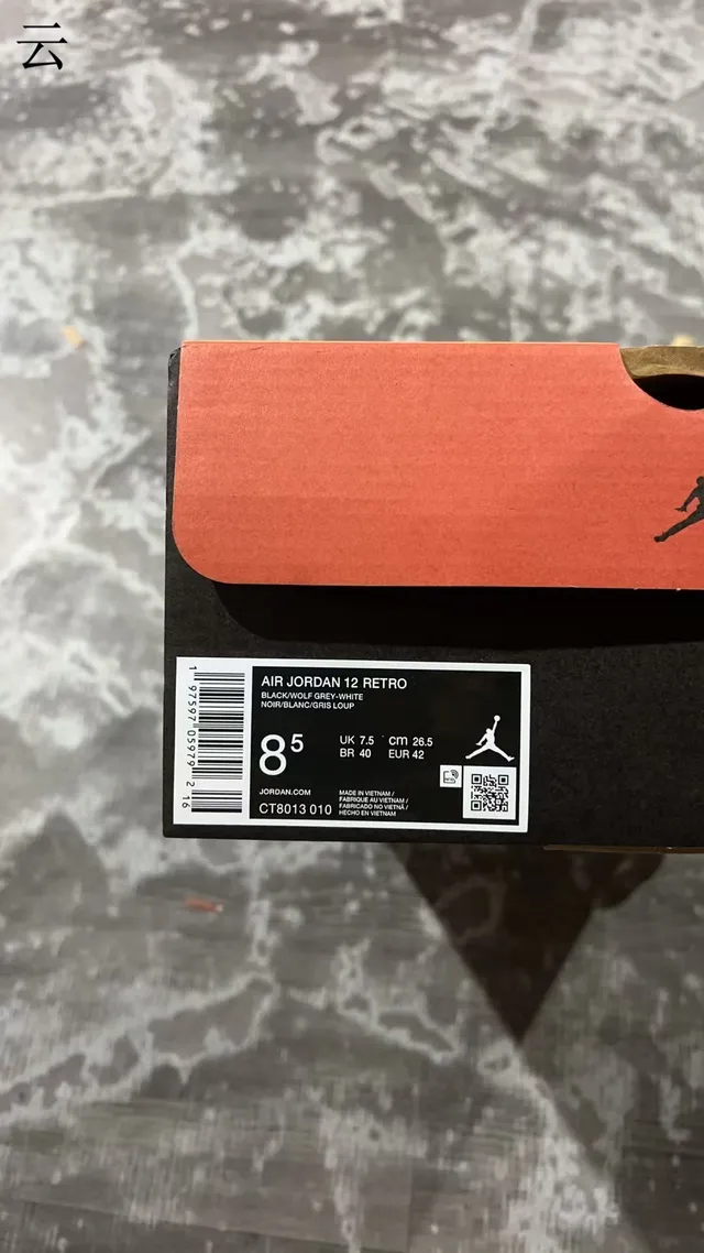 Air Jordan 12 Negro y Gris Claro Zapatillas de Baloncesto de Alto 10