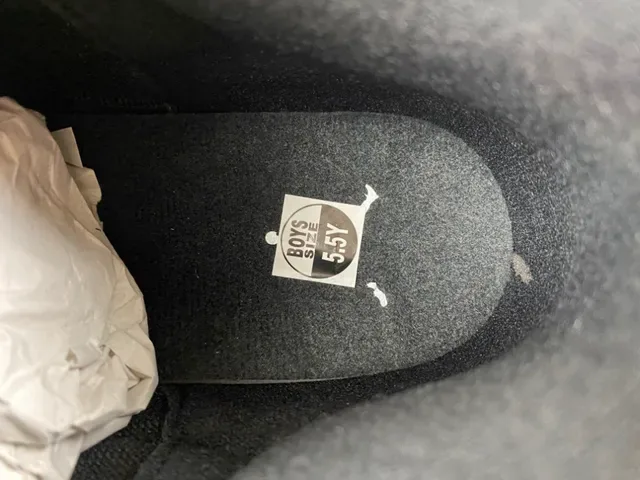 Air Jordan 3 Black Elephant Basketball Shoes 7
