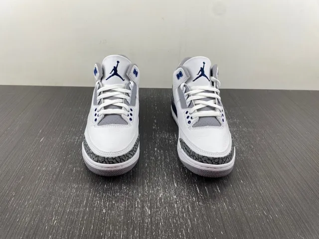 Chaussures de basketball Air Jordan 3 blanc et bleu marine à imprimé éléphant 3