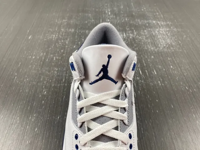 Chaussures de basketball Air Jordan 3 blanc et bleu marine à imprimé éléphant 7