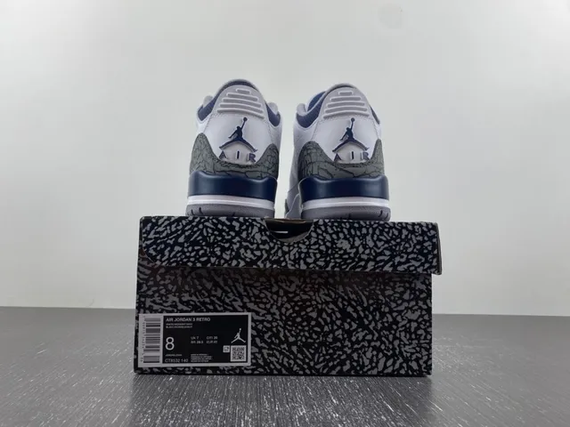 Chaussures de basketball Air Jordan 3 blanc et bleu marine à imprimé éléphant 15