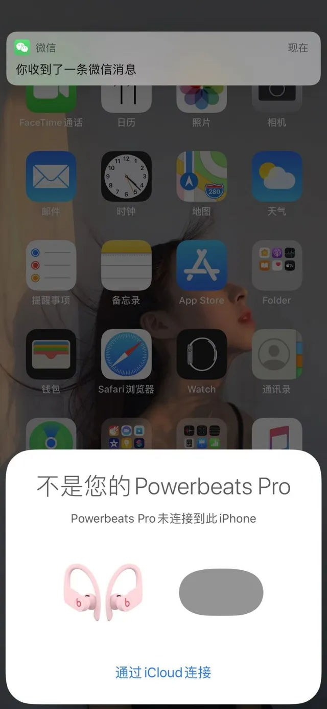 Beats Powerbeats Pro Wireless Sports Earphones 18