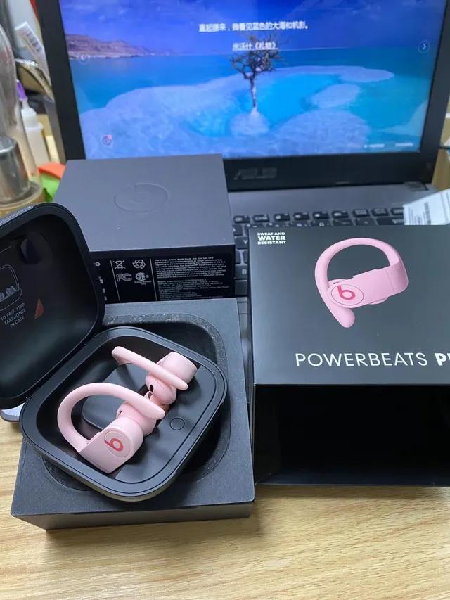 Beats Powerbeats Pro Wireless Sports Earphones 20