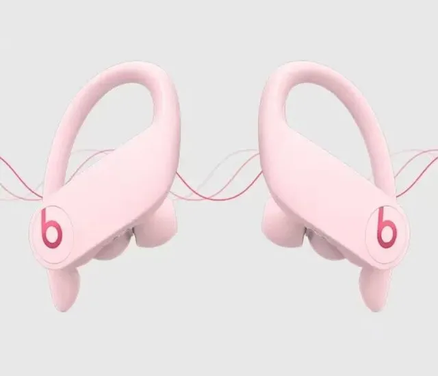 Beats Powerbeats Pro Wireless Sports Earphones 24