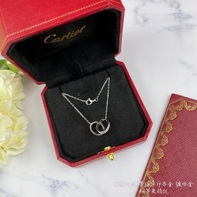 Cartier Love Interlocking Double-Ring চাঁদির নেকলেস 2