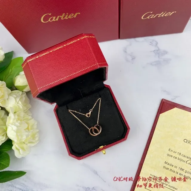 Cartier Love Interlocking Double-Ring চাঁদির নেকলেস 8
