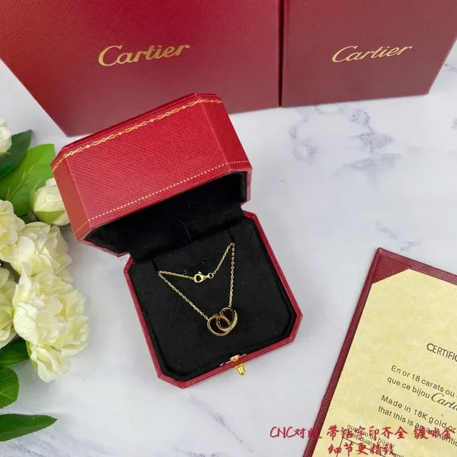 Cartier Love Interlocking Double-Ring চাঁদির নেকলেস 9