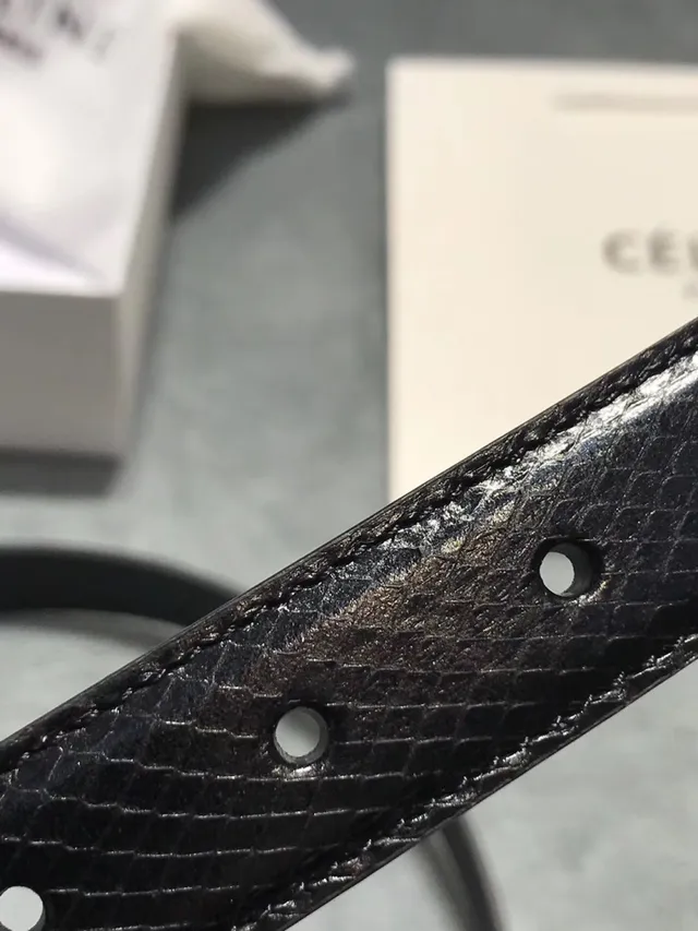 Celine Triomphe Patent Snakeskin Black Leather Belt 5