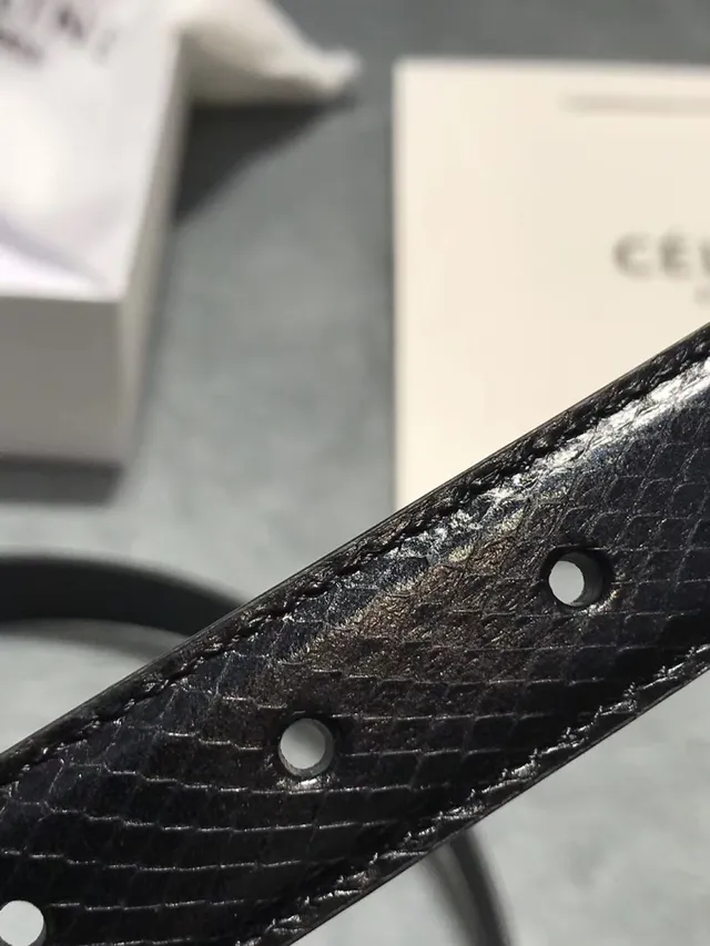 Celine Triomphe Patent Snakeskin Black Leather Belt 14
