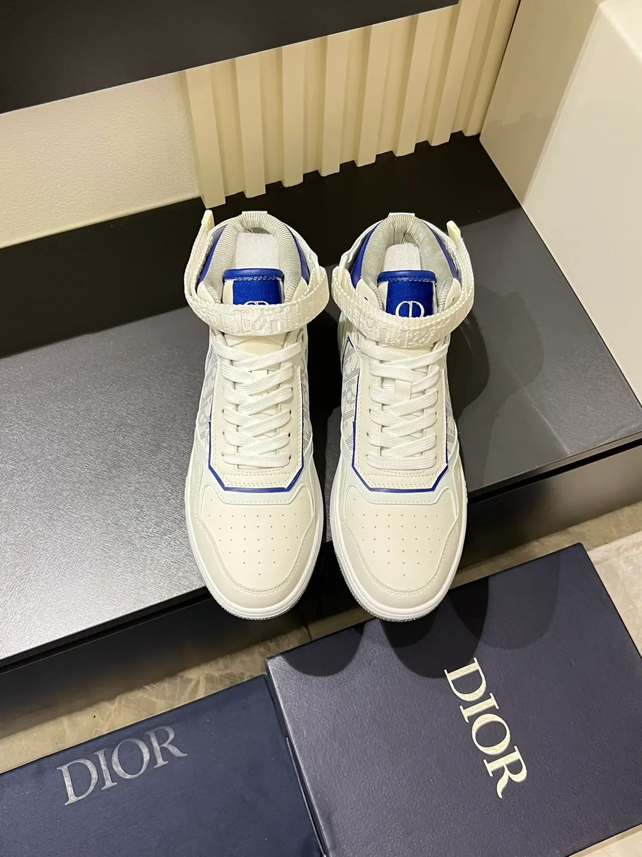 Dior B23 White and Blue Monogram High-Top Lifestyle Sneakers 3